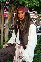 Jack Sparrow