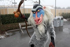 Rafiki