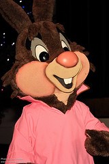 Brer Rabbit (Meet & Greet / Finale)