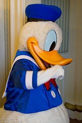 Donald Duck (Random)