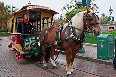 Horse-Drawn Street Car