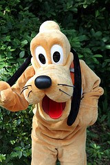 Pluto (Rare)