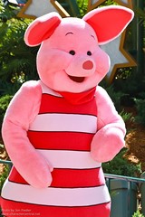 Piglet