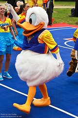 Donald Duck