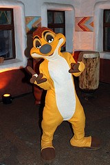 Timon