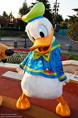 Donald Duck