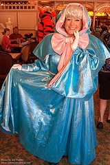 Fairy Godmother