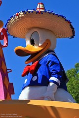 Donald Duck