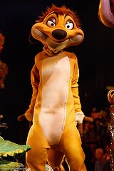 Timon