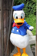 Donald Duck (Random)