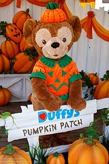 Duffy the Disney Bear