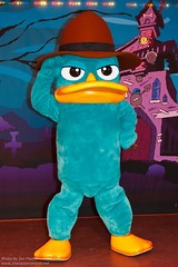 Agent P