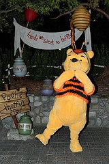 Winnie the Pooh