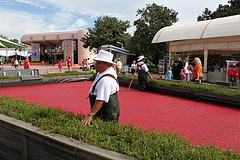 Making cranberry juice