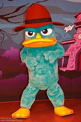 Agent P