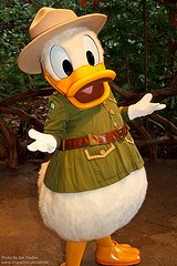 Donald Duck