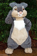 Thumper (Rare)