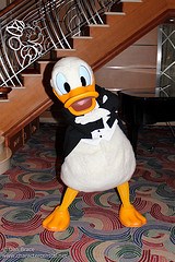 Donald Duck