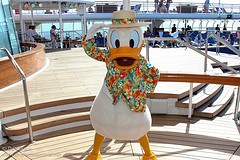 Donald Duck