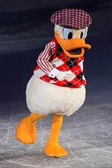 Donald Duck