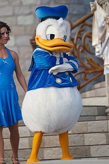 Donald Duck