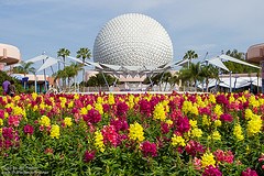 EPCOT