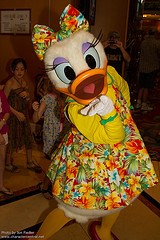 Daisy Duck