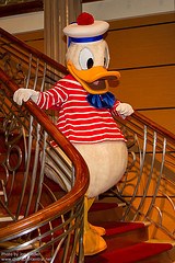 Donald Duck