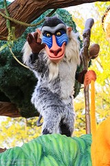 Rafiki