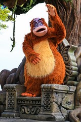 King Louie