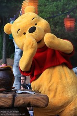 Winnie the Pooh