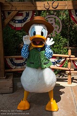 Donald Duck