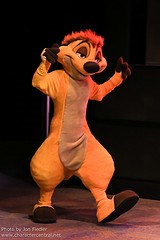 Timon