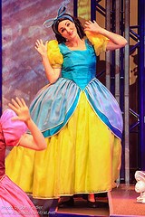 Drizella