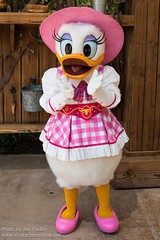 Daisy Duck