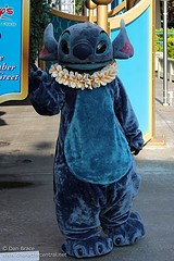 Stitch (VISA Meet 'n' Greet)