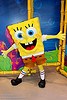 SpongeBob SquarePants