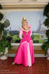 Princess Aurora