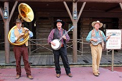 The Notorious Banjo Brothers and Bob