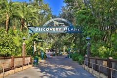 Discovery Island