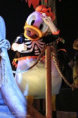 Donald Duck