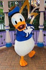 Donald Duck (Rare)