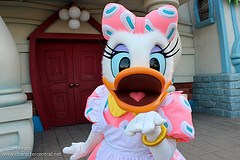 Daisy Duck