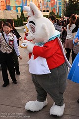 White Rabbit