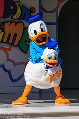 Donald Duck