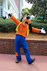 Goofy (Rare)