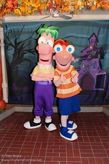 Ferb