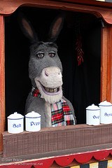 Donkey