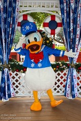 Donald Duck