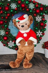 Duffy the Disney Bear